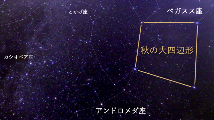秋の大四辺形