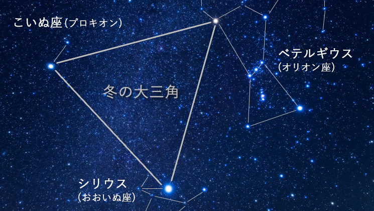 冬の大三角